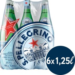 San Pellegrino mit CO2, EW PET 125cl x6